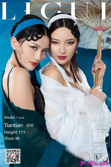 柳叶摘星辰电视剧高清免费观看