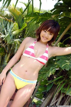 loveme枫和铃声樱花