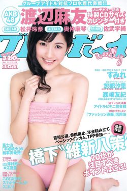 哥斯拉大战机械哥斯拉